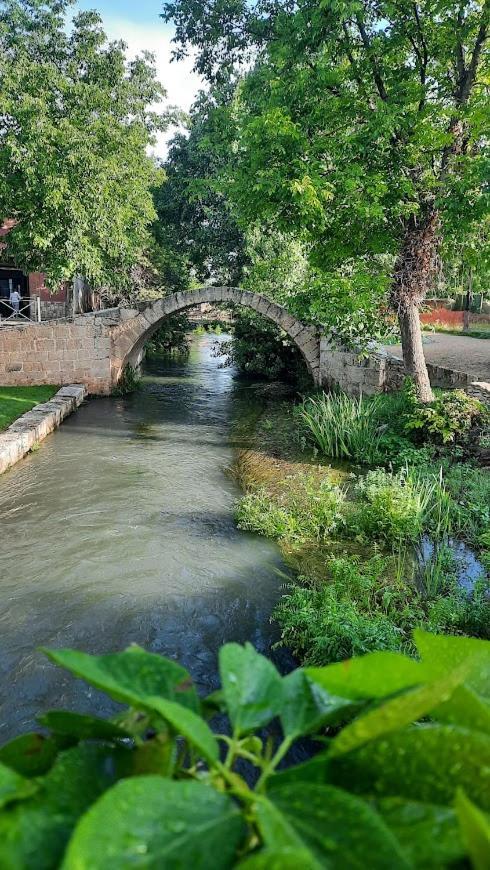 カラモチャAromas Del Jiloca, La Trufa Negraアパートメント エクステリア 写真